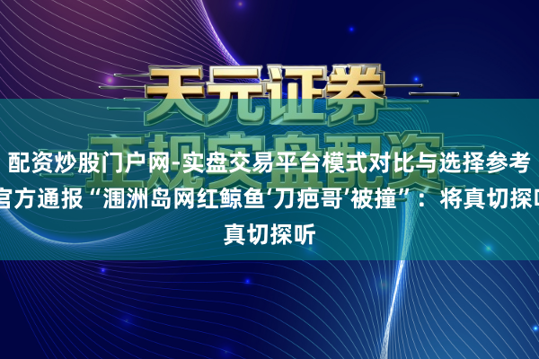 配资炒股门户网-实盘交易平台模式对比与选择参考 官方通报“涠洲岛网红鲸鱼‘刀疤哥’被撞”：将真切探听