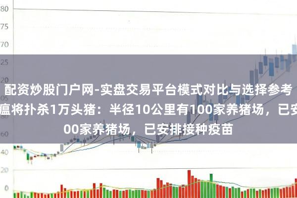 配资炒股门户网-实盘交易平台模式对比与选择参考 日本发生猪瘟将扑杀1万头猪：半径10公里有100家养猪场，已安排接种疫苗