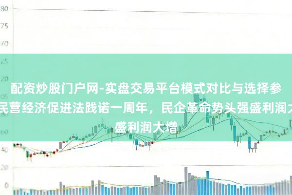 配资炒股门户网-实盘交易平台模式对比与选择参考 民营经济促进法践诺一周年，民企革命势头强盛利润大增